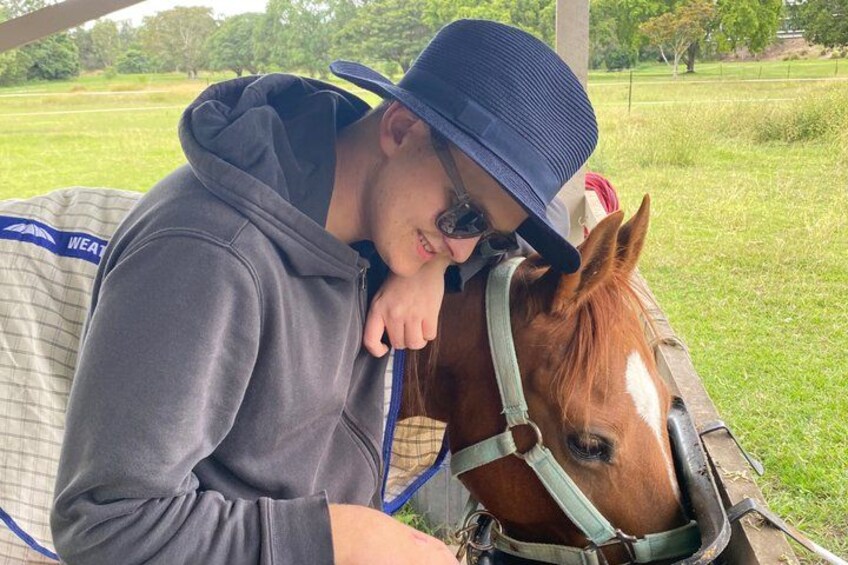 A person in a grey hoodie and blue hat sitting next to a horse with a green halter. 2