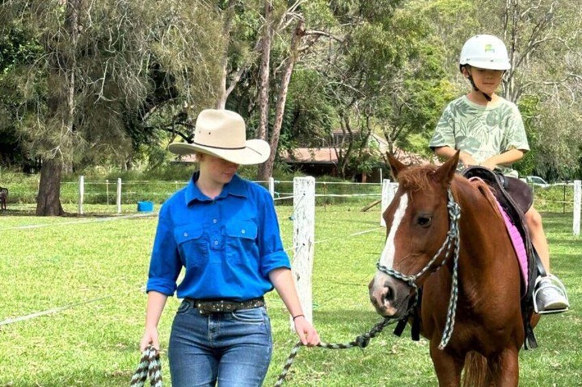 A person leading a horse in a grassy field with trees in the background. 4