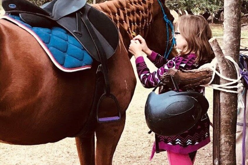 A person grooming a horse. 3