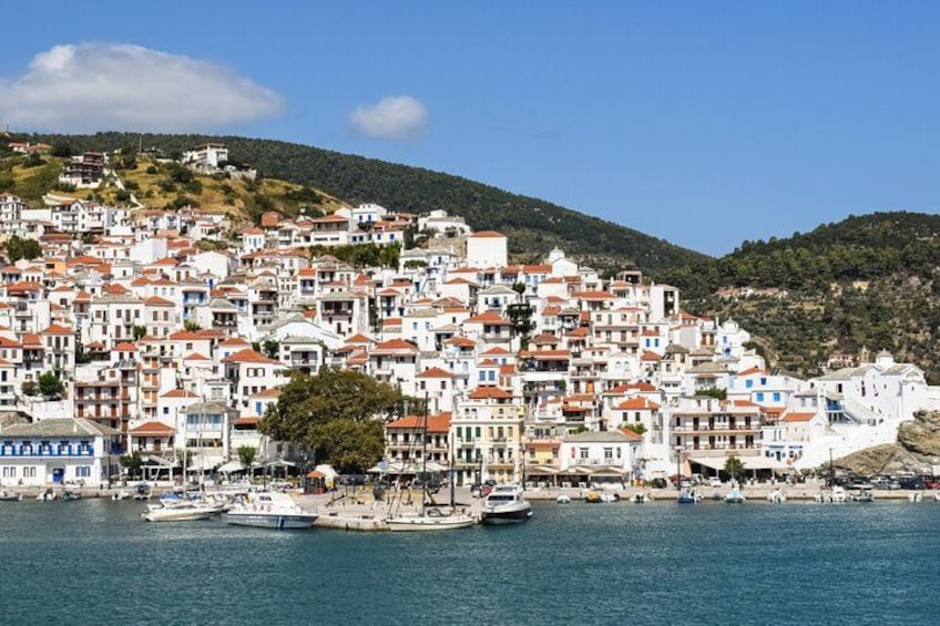 A coastal town with white buildings and red roofs, boats in the water, and a hill in the background. 5