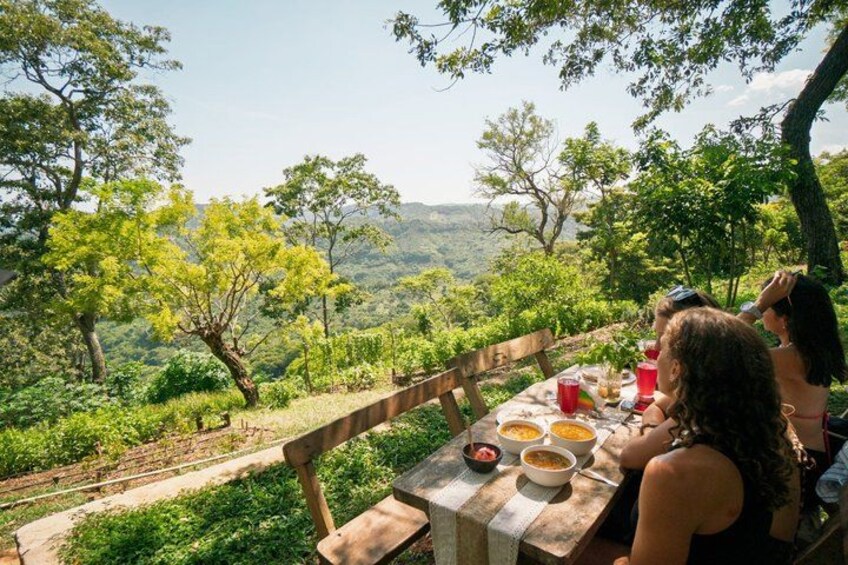 A picnic table with food and drinks, surrounded by lush greenery and trees. 5