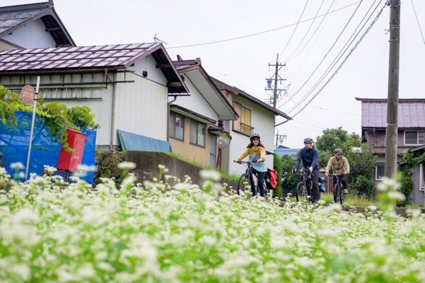 A residential area with houses, a garden, and a group of people on bicycles. 3