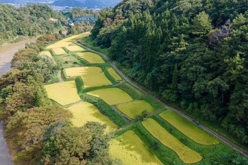 Terraced rice fields, a river, and dense forest. 1