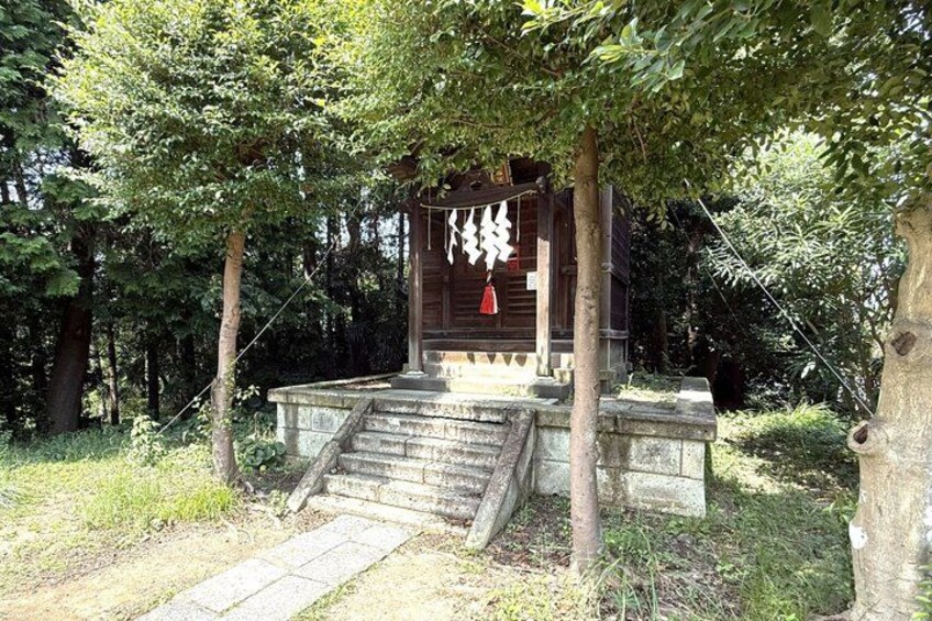 A wooden shrine with steps leading up to it, surrounded by trees. 4