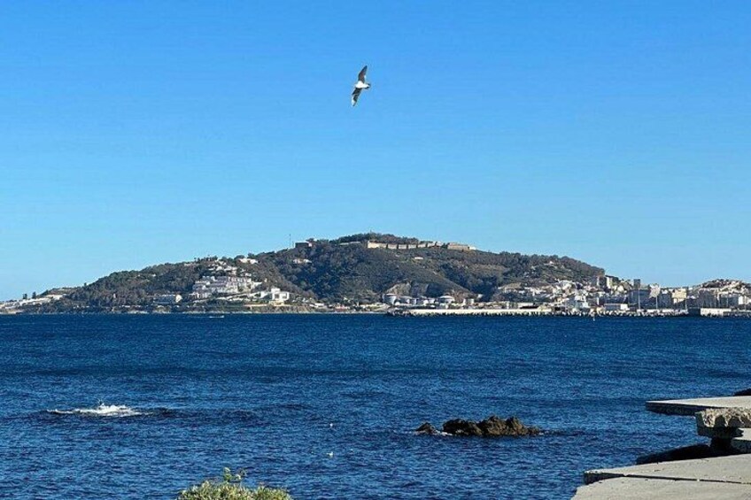 A seagull flying over a coastal town with a hill in the background. 4