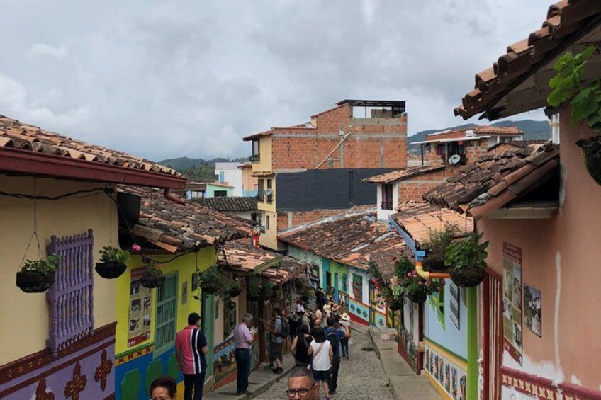 A narrow street with colorful buildings, hanging plants, and people walking. 4