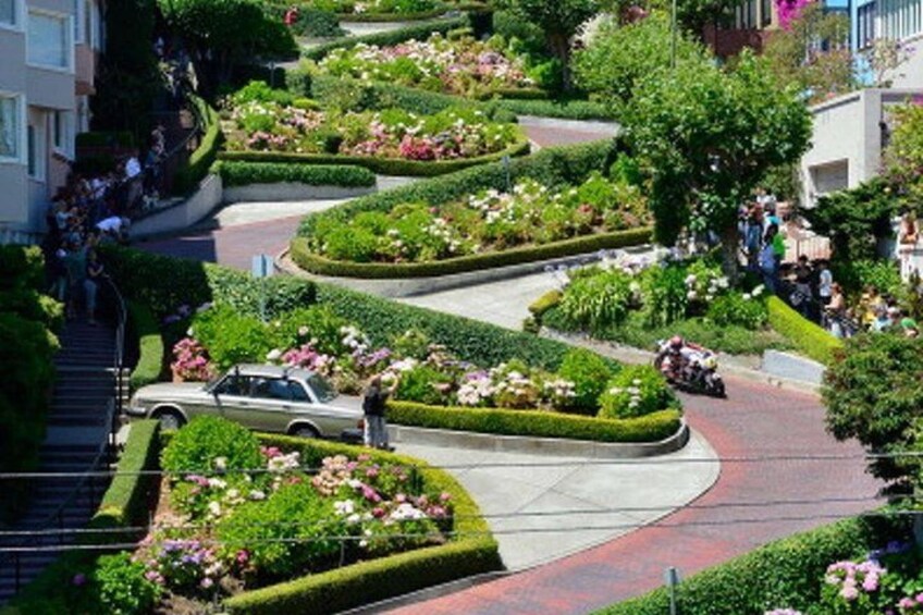 A winding road with lush gardens and a motorcyclist. 5