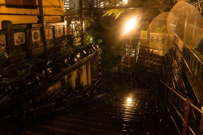 A wet stone staircase with railings and a street lamp. 5