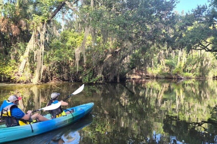 A kayak on a calm river surrounded by dense trees and hanging moss. 3