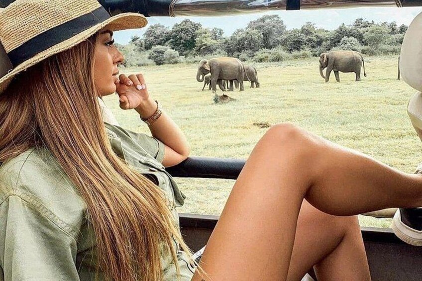 A person in a vehicle observing elephants in a natural setting. 1