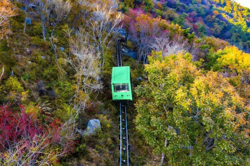 A green train on a track surrounded by autumn-colored trees. 1