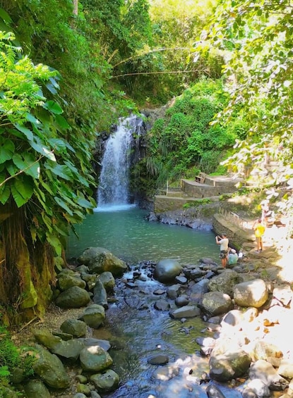 Picture 4 for Activity Grenada: Annandale Waterfall, Grand Etang, Grand Anse beach 4