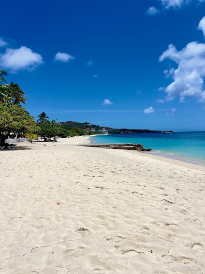Grenada: Annandale Waterfall, Grand Etang, Grand Anse beach 1