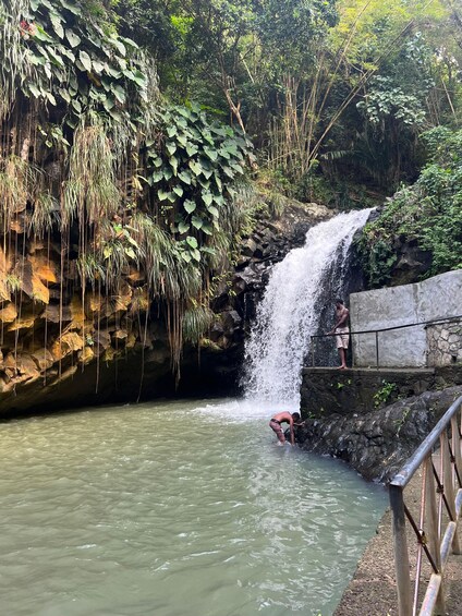 Picture 1 for Activity Grenada: Annandale Waterfall, Grand Etang, Grand Anse beach 3