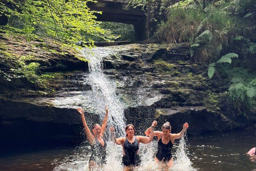A waterfall, people jumping into the water, and a forested area. 3