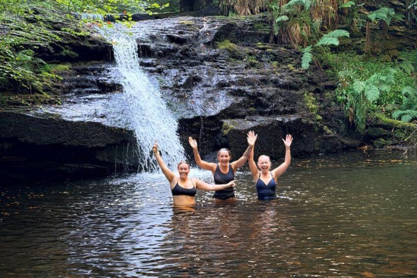 A waterfall, water, and greenery. 1