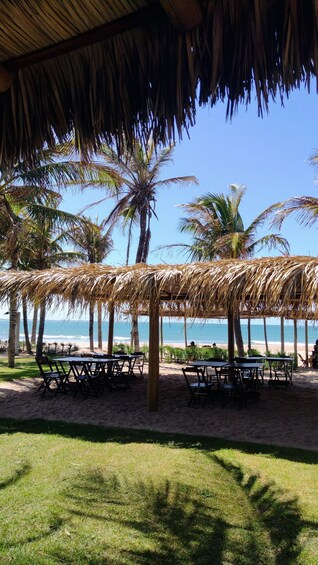 Un restaurante frente al mar con sombrillas de paja, palmeras y vistas al océano. 2