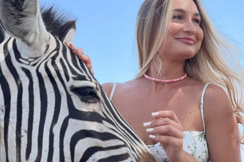 A person with a zebra. 3