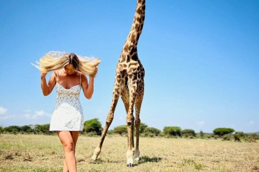 A woman in a white dress, a giraffe, and a grassy field under a clear sky. 2
