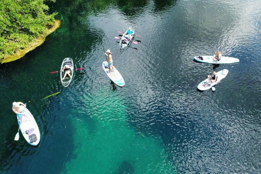 A group of people paddleboarding on a calm river surrounded by greenery. 1