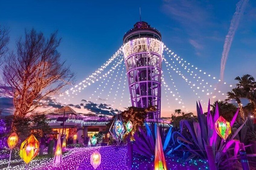 A tower with lights, a tree, and decorative plants. 3