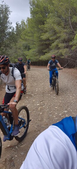 Un grupo de ciclistas en un sendero de grava rodeado de árboles. 2