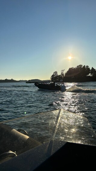 Picture 6 for Activity Guided Archipelago speedboat tours from Saltsjöbaden 4
