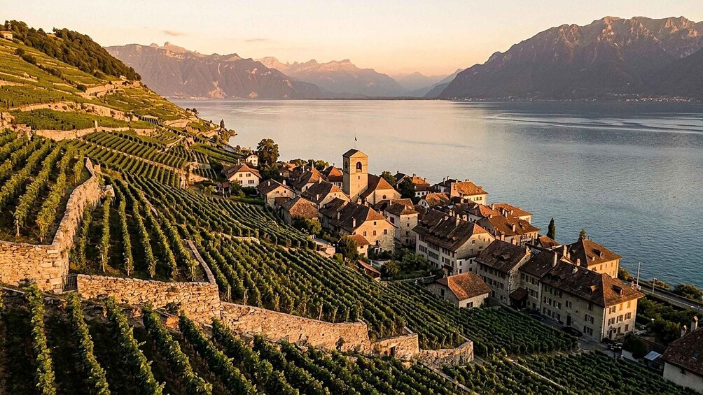 Lavaux UNESCO Vineyards: Private Tour with Wine Tasting 1
