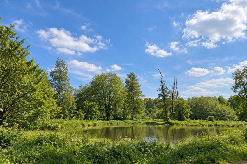 A serene landscape with a pond surrounded by lush greenery and trees under a clear blue sky. 4