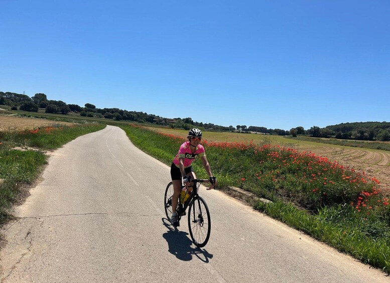 A cyclist on a paved road with red flowers on the side. 4