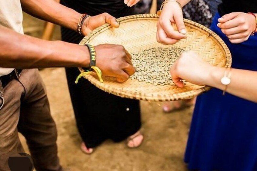 A group of people holding a woven basket filled with seeds. 3