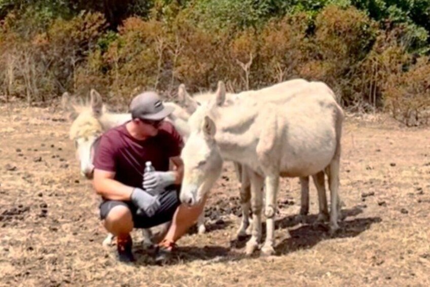 A person crouching next to a white donkey in a dry, grassy area with sparse vegetation. 5