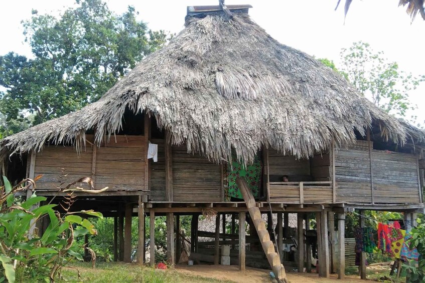 A thatched-roof house with wooden walls and a wooden porch. 5