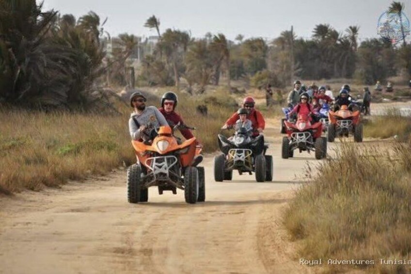 People riding quad bikes on a dirt road with palm trees in the background. 1