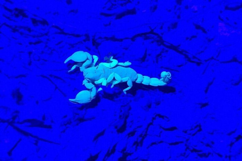 A blue-toned underwater scene with a figure resembling a crab. 2