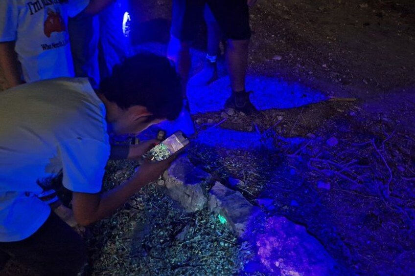 A person using a flashlight in a dark outdoor setting. 1