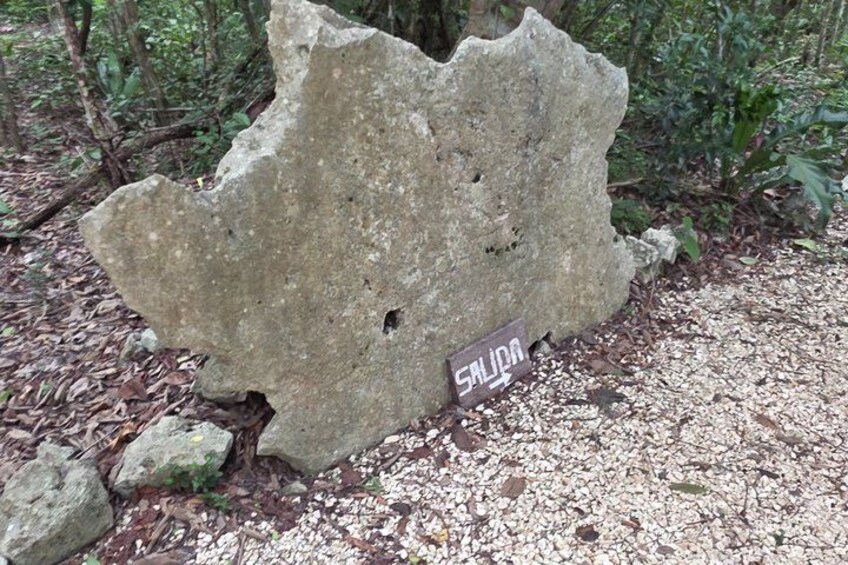 A large rock formation with a sign reading 'SALIDA' in a forested area. 5