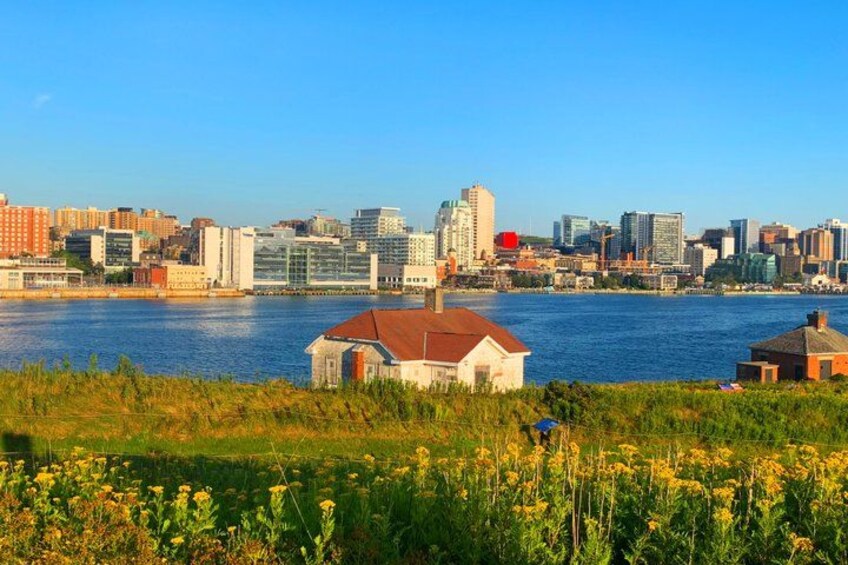 A city skyline with modern buildings, a river, and a field of yellow flowers. 1