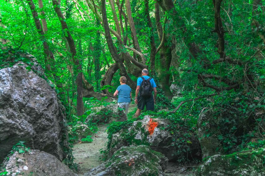 Two people hiking on a forest trail surrounded by lush greenery and rocks. 2