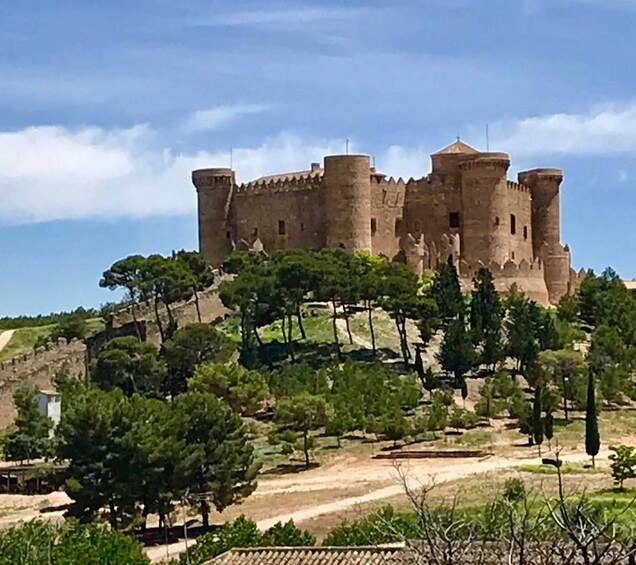 A historic castle on a hill with surrounding trees. 1