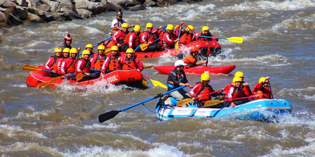 A group of people in red and blue kayaks navigating a river. 2