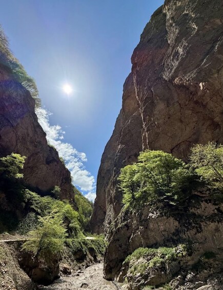 A canyon with steep rock walls and lush greenery. 2