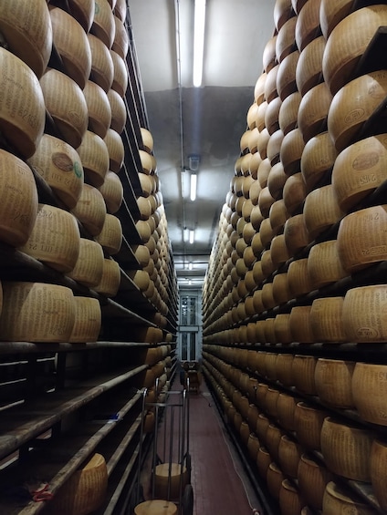 A storage area with rows of wooden barrels. 1