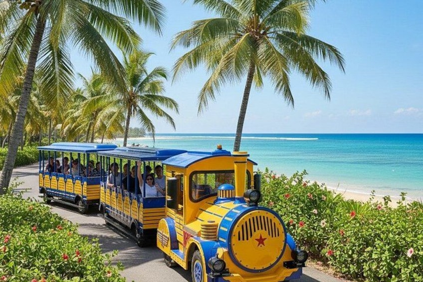 A yellow and blue train on a coastal road with palm trees and a beach in the background. 5