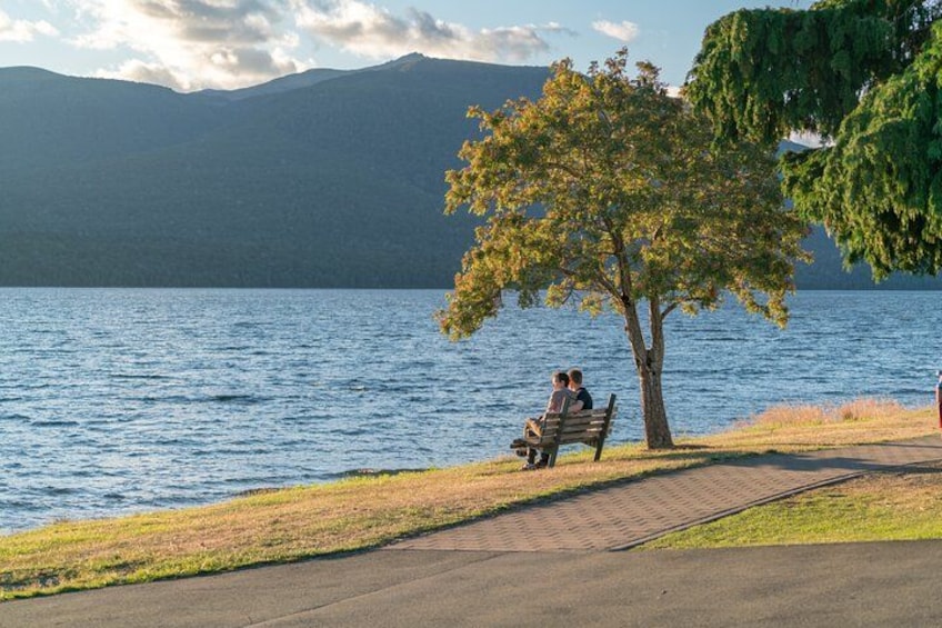 A lake with a bench and a tree, and a path leading to the water. 5