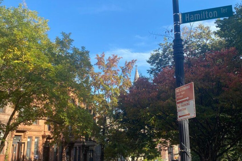A street sign for Hamilton Ter, a no standing sign, and a building with a spire in the background. 3