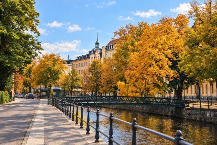 A riverside walkway with autumn foliage, a bridge, and historic buildings. 5