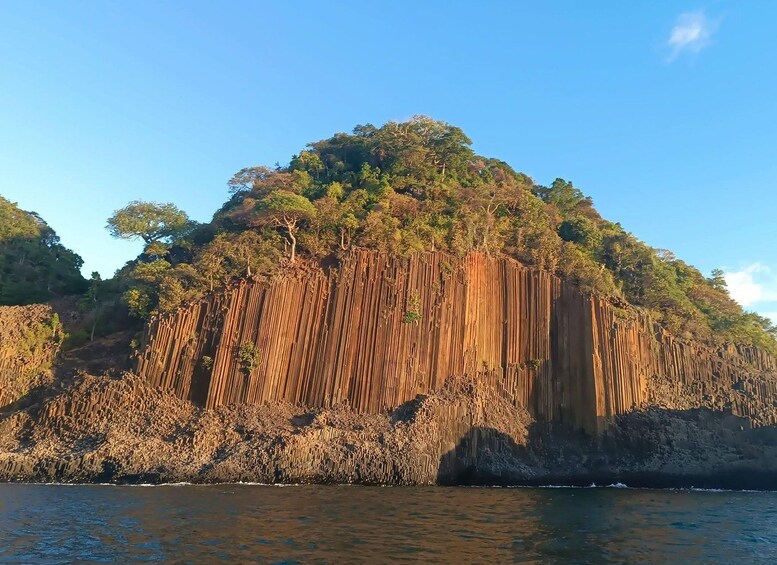 A coastal cliff with dense vegetation and a clear sky. 4