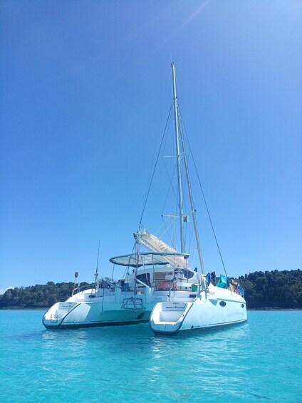 Two white catamarans sailing on turquoise water with a clear sky. 5