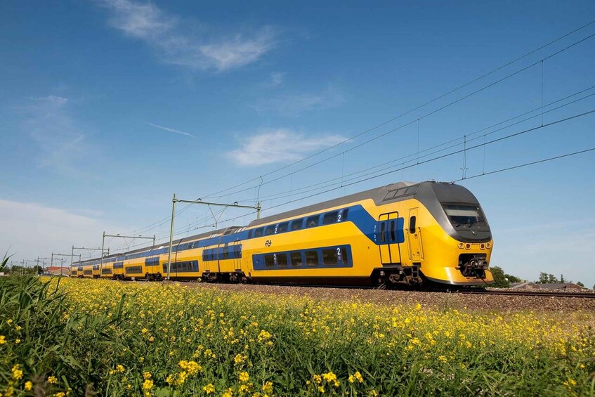 Picture 4 for Activity Amsterdam: Train Transfer From/To Zandvoort in Amsterdam 4